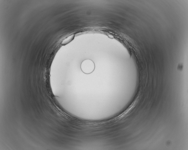 X0000116891161201002021203