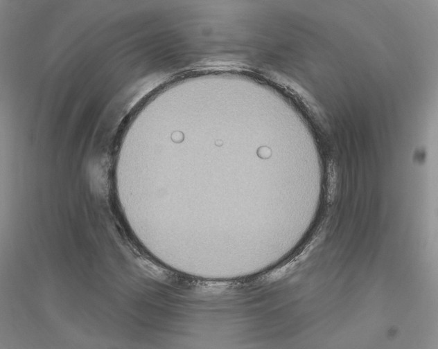 X0000116891162201002021203