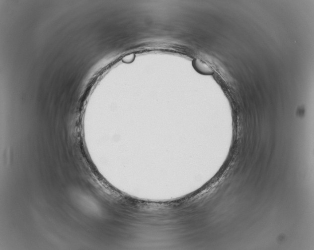 X0000116891164201002021203