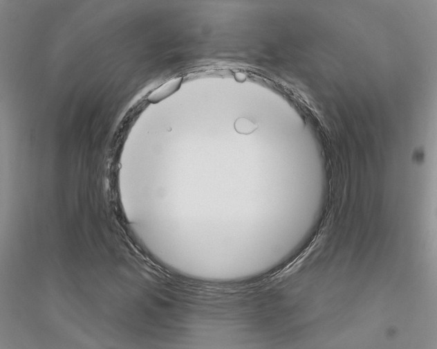 X0000116891165201002021203