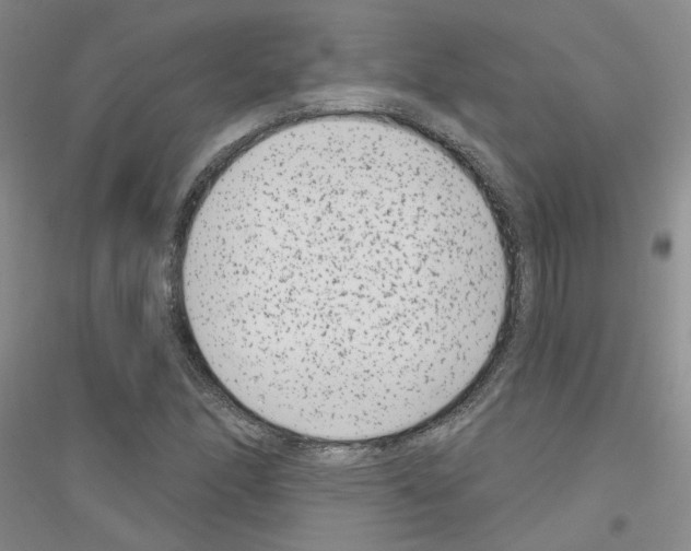 X0000116891166201002021203