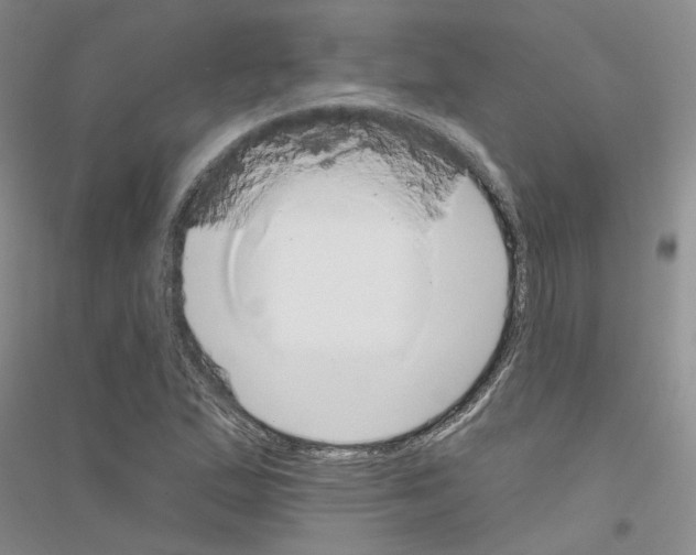 X0000116891167201002021203