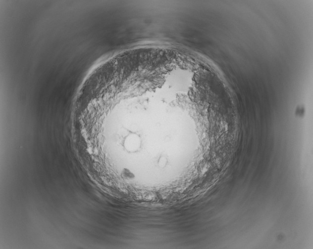 X0000116891168201002021203