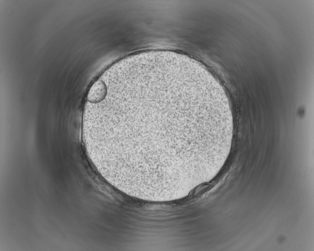 X0000116891171201002021203