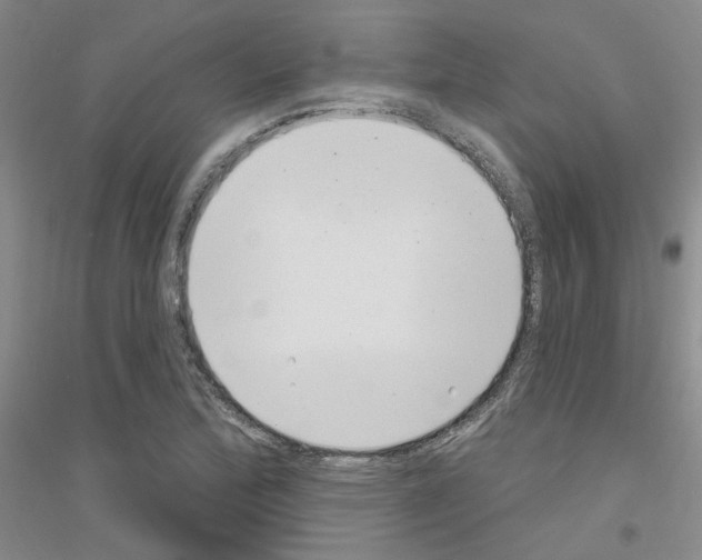 X0000116891172201002021203