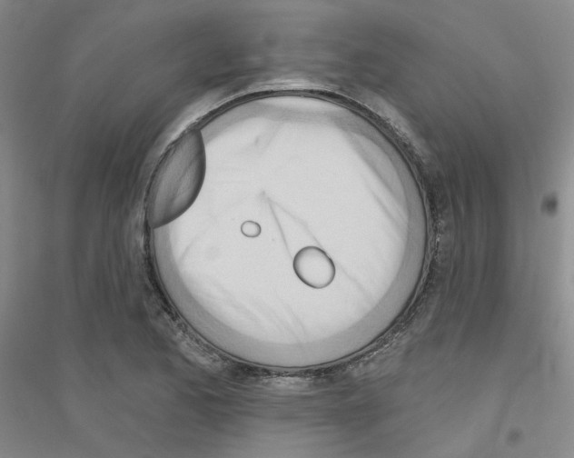 X0000116891173201002021203