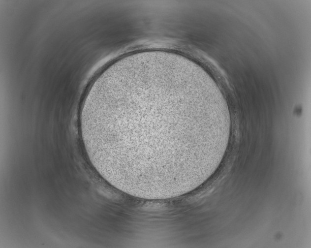 X0000116891174201002021203