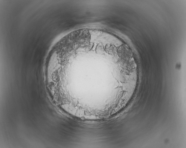 X0000116891176201002021203