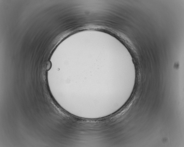 X0000116891177201002021203