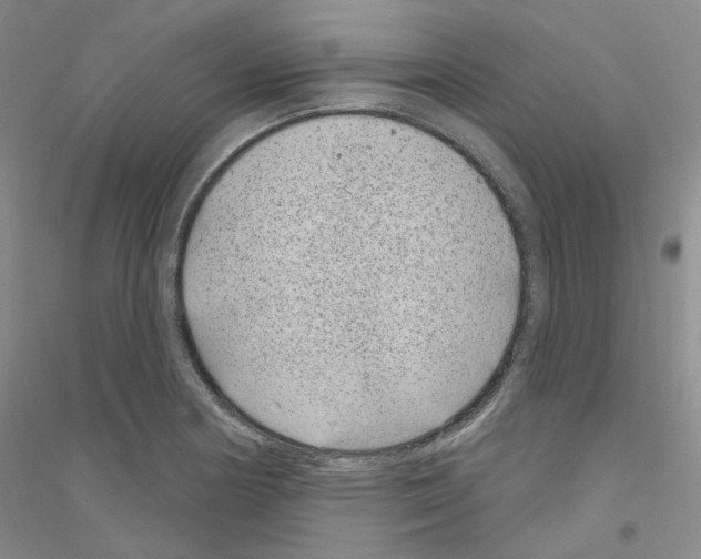 X0000116891178201002021203