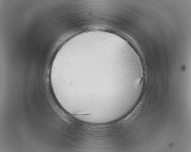 X0000116891179201002021203