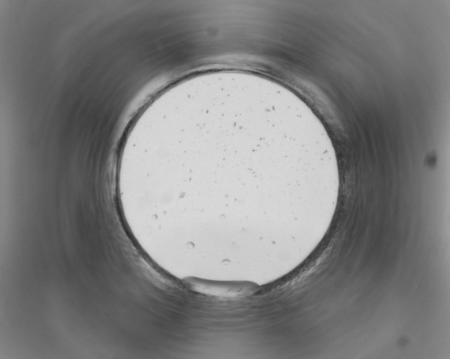 X0000116891180201002021203