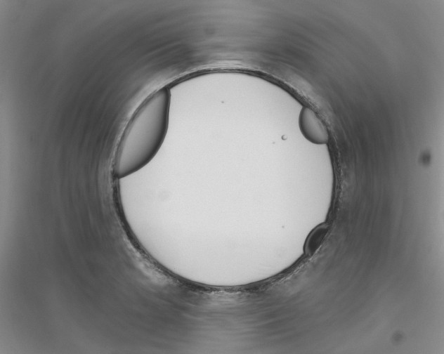 X0000116891181201002021203