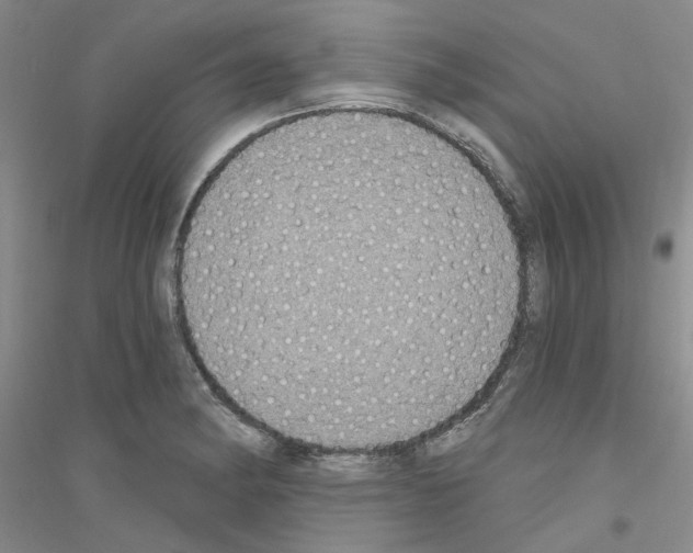 X0000116891182201002021203