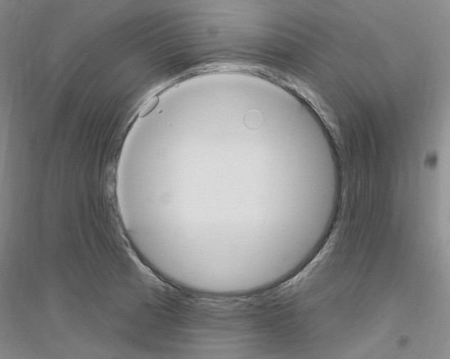 X0000116891185201002021203