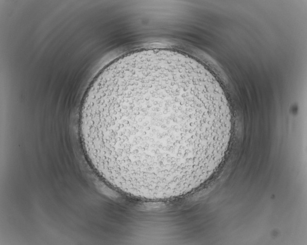 X0000116891186201002021203