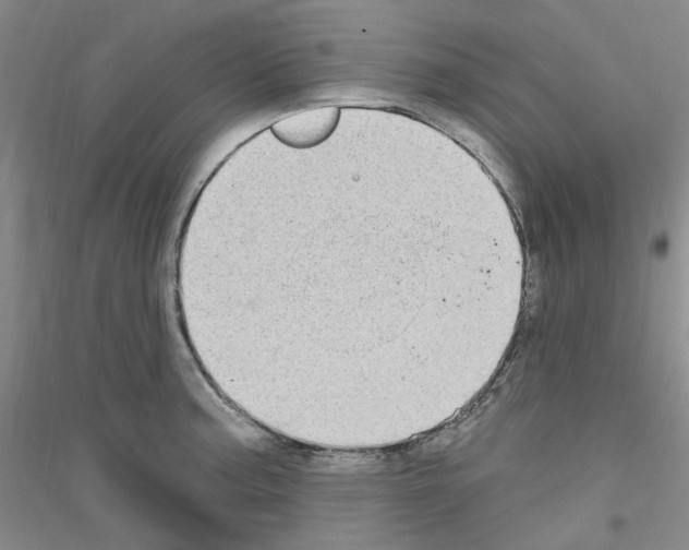 X0000116891187201002021203