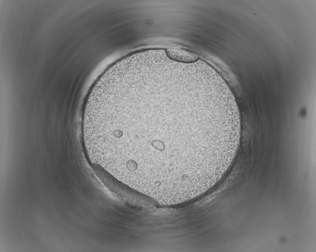 X0000116891188201002021203