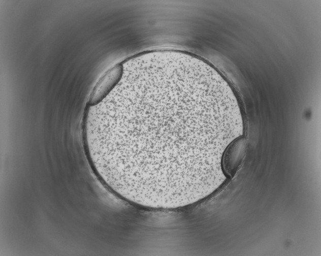 X0000116891189201002021203