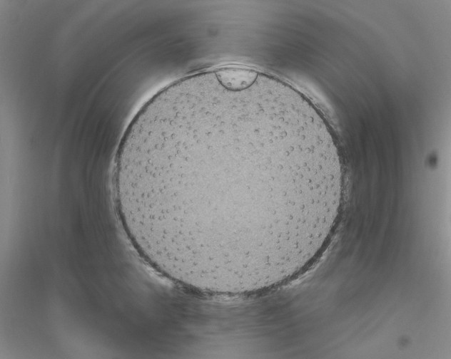 X0000116891190201002021203