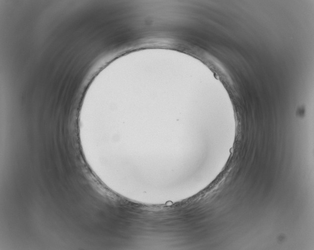 X0000116891192201002021203