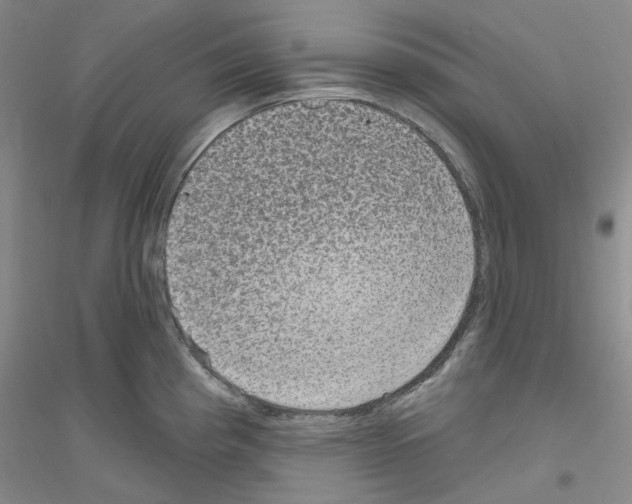 X0000116891193201002021202