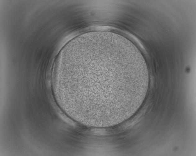 X0000116891194201002021202