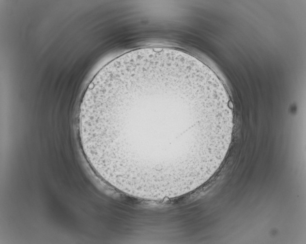 X0000116891195201002021202