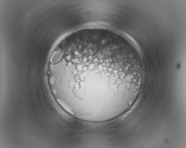 X0000116891196201002021202