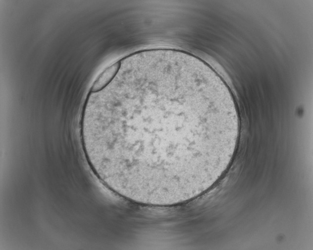 X0000116891197201002021202