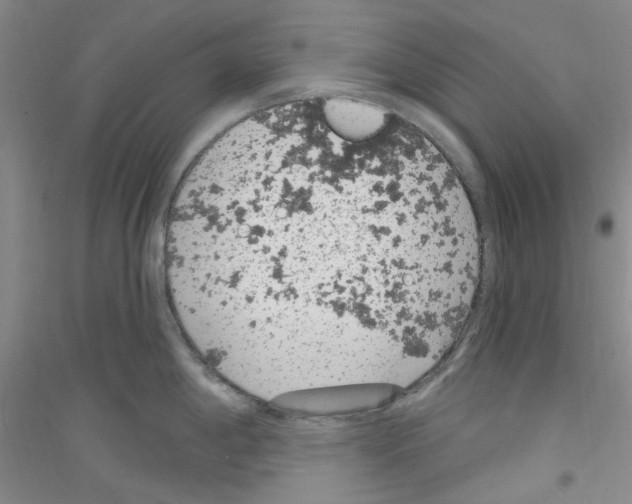 X0000116891198201002021202