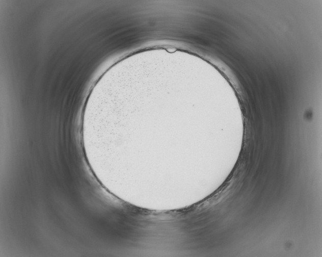 X0000116891199201002021202