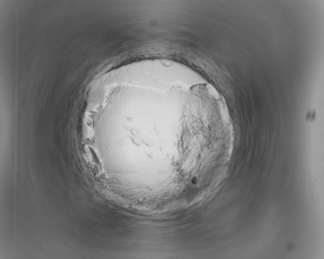 X0000116891201201002021202