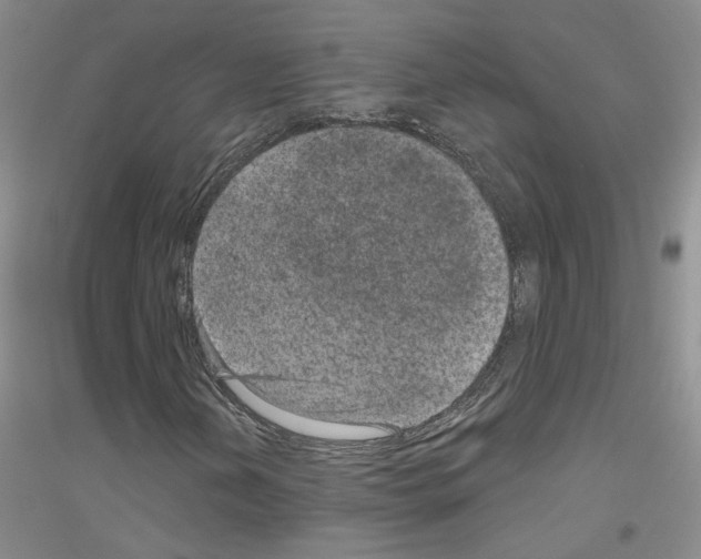 X0000116891202201002021202