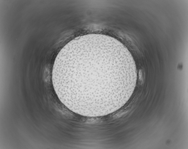 X0000116891203201002021202