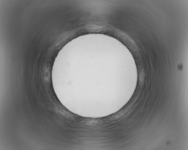 X0000116891204201002021202