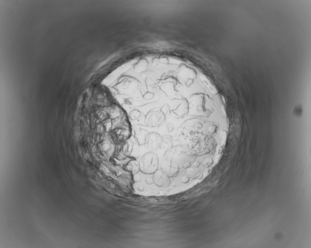 X0000116891205201002021202