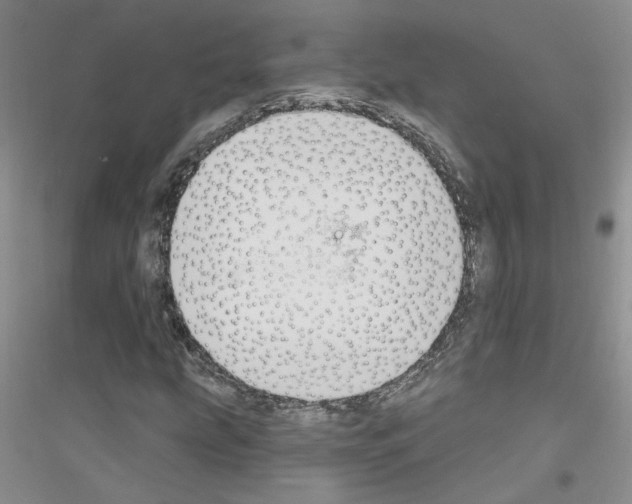 X0000116891207201002021202