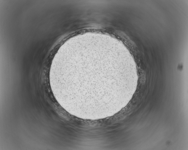 X0000116891208201002021202