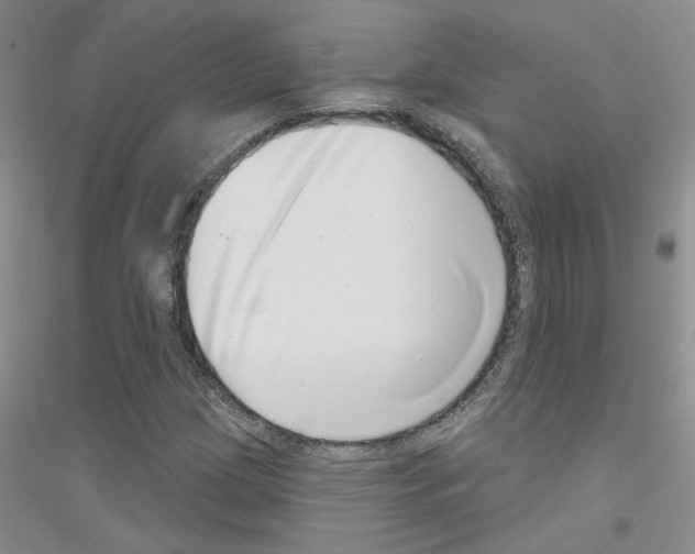 X0000116891209201002021202