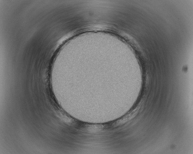 X0000116891210201002021202