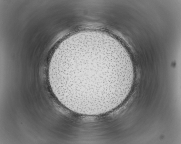 X0000116891211201002021202