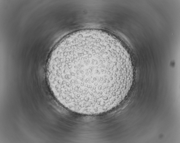 X0000116891212201002021202