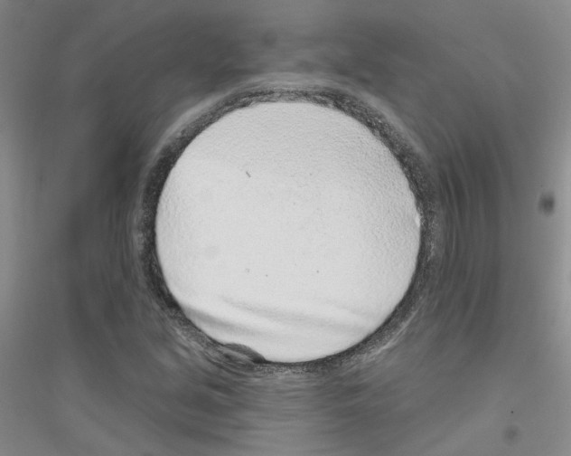 X0000116891213201002021202