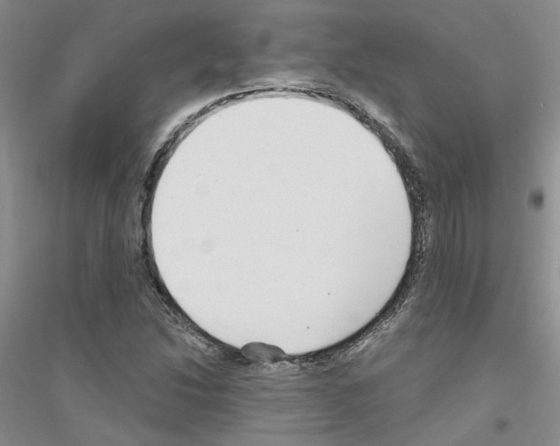 X0000116891214201002021202