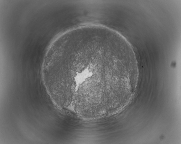 X0000116891215201002021202