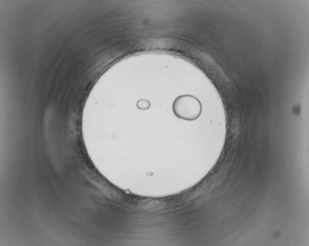 X0000116891217201002021202