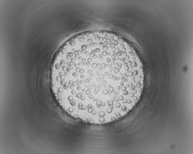 X0000116891220201002021202