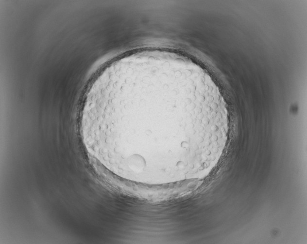 X0000116891222201002021202