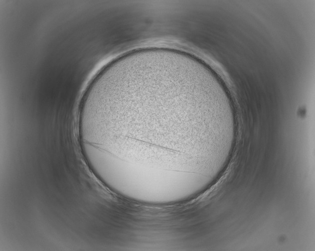 X0000116891224201002021202